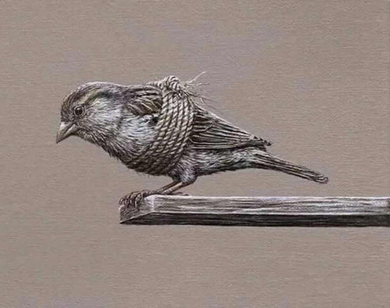 3 СРЕДСТВА ОТ БЕСПОМОЩНОСТИ